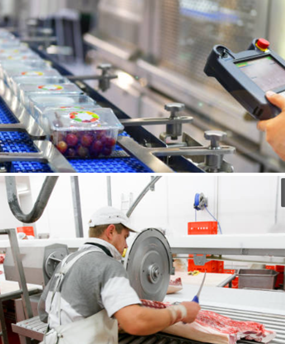 Cold Chain & Meat Process